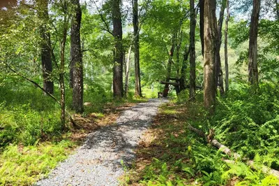 a dirt road through a forest with trees at Serenity On The Lehigh River in Thornhurst