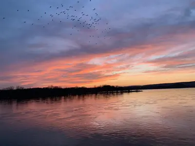 a flock of birds flying over a lake at sunset at BurgBnB Riverfront in Harrisburg