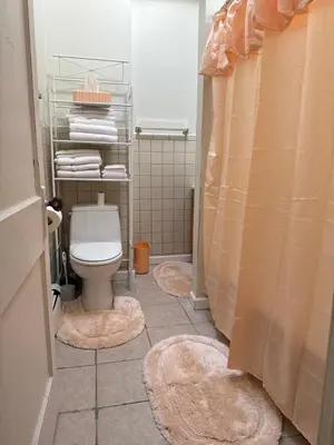 a bathroom with a toilet and a shower with rugs at Beautiful House for Rent in Philadelphia
