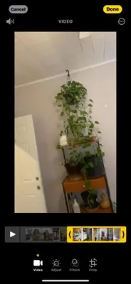 a picture of a room with a plant on a table at Convenient location near Manhattan easy trip to Times Square in North Bergen