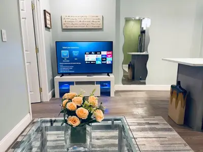 a living room with a tv and a vase with flowers at Rittenhouse Square near Kimmel Center 1BD Suite in Philadelphia