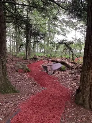 a red path with a bench in the middle of a forest at Hillsaps Ranch on the Lake in Gouldsboro