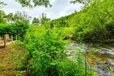 a path next to a river with a bench at Mtn-View Deck and Grill Creekside Catskills Cabin! in Equinunk