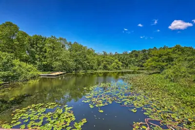 a river with lily pads in the water at Less Than 1 Mi to Mountain Creek Resort Condo with Balcony in Vernon Township