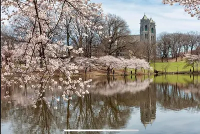 a view of a pond with trees and a church at Cozy 1 BR, walk to subway, Free WiFi & Parking in Belleville