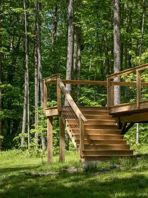 a wooden staircase in the middle of a forest at Modern Rustic Tiny Home in the Catskills in Roscoe