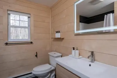 a bathroom with a toilet and a sink and a mirror at Chic Cabin with Hot Tub and Fire Pit in Roscoe