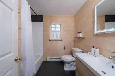 a bathroom with a toilet and a sink and a mirror at Chic Cabin with Hot Tub and Fire Pit in Roscoe