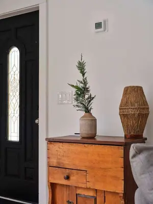 a plant on top of a wooden dresser next to a door at Chic Renovated Chalet with Private Pond in Roscoe