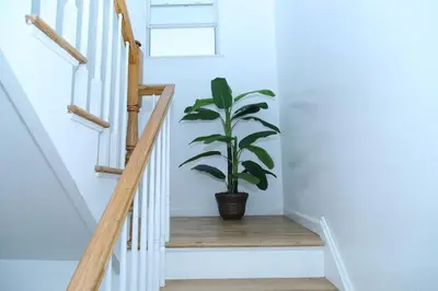 a plant in a pot sitting on a wooden staircase at Spacious 3 Bedroom, 15 Min to EWR Airport and Parks in Newark