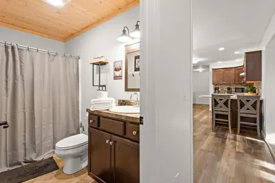a bathroom with a toilet sink and a shower at Cozy Cinema Cabin - Hot Tub and More in Blakeslee