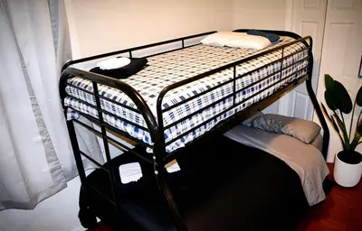 a bunk bed with a cat sitting on top of it at Cozy Cafe, Walk to The Mall, 30min to NYC & 5min to EWR in Elizabeth