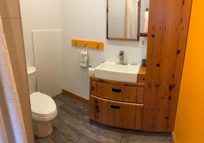 a bathroom with a white sink and a toilet at Roscoe Pine House in Roscoe