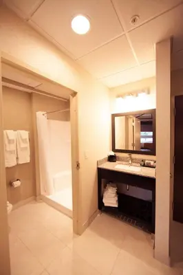 a bathroom with a sink and a shower and a mirror at Warehouse Hotel at The Nook in Manheim
