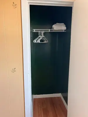 a closet with a green wall and a shelf at Amazing three bedrooms Apartment near EWR and NYC in Linden