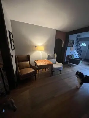 a living room with a table and two chairs and a dog at Homestead Upper Bucks - No Pet Fees in Perkasie