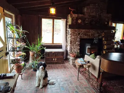 a dog sitting in a living room with a fireplace at Homestead Upper Bucks - No Pet Fees in Perkasie