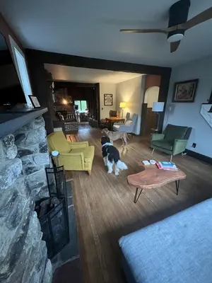 a dog standing in a living room with a fireplace at Homestead Upper Bucks - No Pet Fees in Perkasie