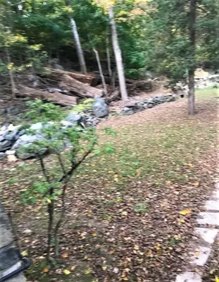 a small plant in the middle of a garden at Charming Hudson Valley 3-Bedroom Family Getaway in Tomkins Cove