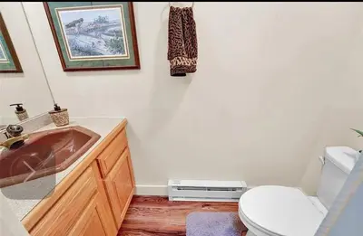 a bathroom with a red sink and a toilet at Waterfront Mountain Fun-Jack Frost Walk On Whole House in Blakeslee