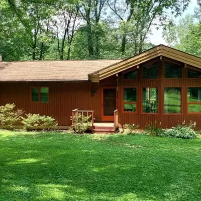 Forest View