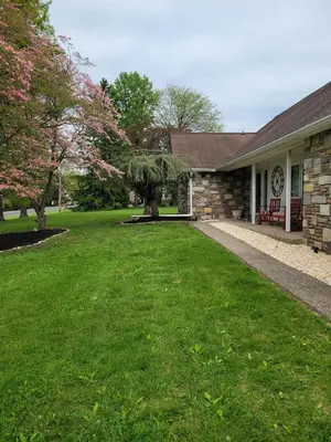 a house with a tree in front of a yard at Bridle Pool House in Lansdale