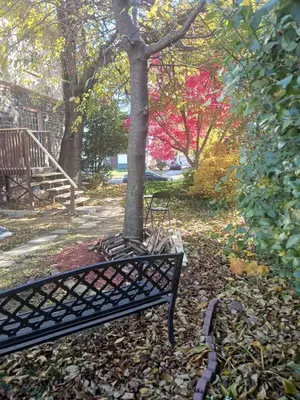 a park bench sitting in leaves next to a tree at Quaint 3rd Floor Loft in Highland Park