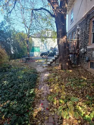 a tree with leaves on the ground next to a sidewalk at Quaint 3rd Floor Loft in Highland Park