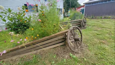 a wooden cart with a plant in a garden at Historical Home with Amenities Nearby - Delaware River, General Store, Post Office, Tavern in Equinunk