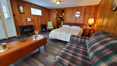 a bedroom with a bed and a couch and a fireplace at Newton Lake in Malinchak Airport
