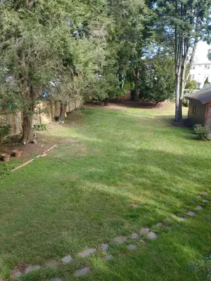a yard with green grass and trees and a house at Comfortable 2 Bedroom House with Big Yard 30 Minutes to New York City in Ridgefield Park