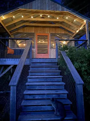 a cat sitting on the stairs of a house at Gorgeous Finger Lakes Accommodation near Ithaca for Glamping in New York in Brooktondale