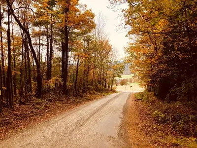a dirt road with trees on either side at Mountain Retreat Stunning Views Hot Tub Fire Pit in Mehoopany