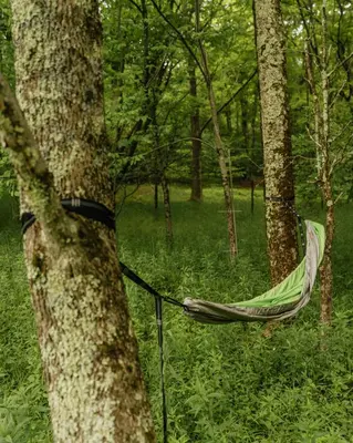 a hammock tied to a tree in a forest at Rustic Escape UTV, Tub, Trails & Fire Pit 25 acre in Roscoe