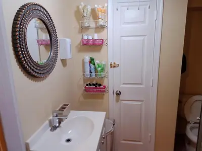 a bathroom with a sink and a mirror and a toilet at Charming Private 1BR Apartment with Easy NYC Access in Maplewood