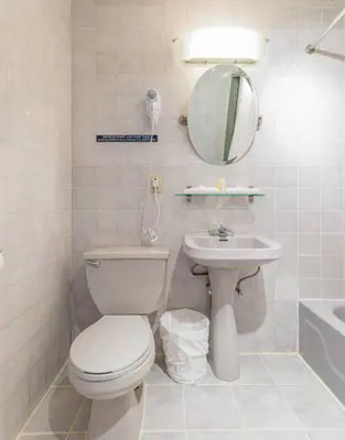 a bathroom with a toilet and a sink and a mirror at 3BR Apartment in Big Apple in New York