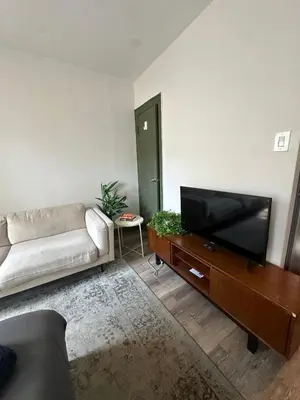 a living room with a couch and a flat screen tv at Cozy 2BR in NYC Lenox Hill in New York