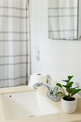 a bathroom sink with a potted plant and a mirror at Beaver Creek Cabin 1 in Strasburg