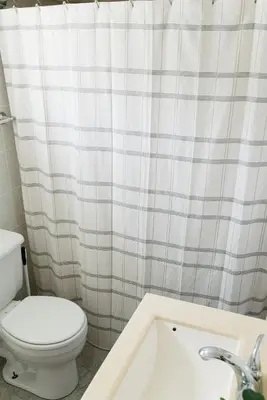 a bathroom with a toilet and a shower curtain at Beaver Creek Cabin 1 in Strasburg