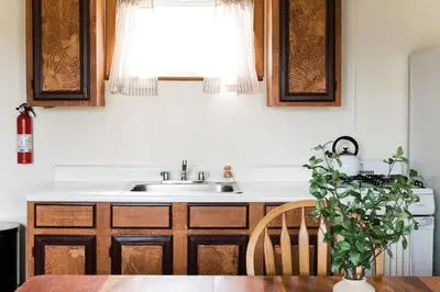 a kitchen with a sink and a table with a plant at Beaver Creek Cabin 5 in Strasburg