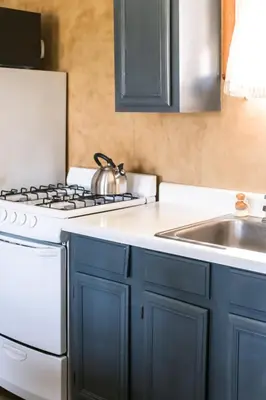 a kitchen with a stove and a sink at Beaver Creek Cabin 6 in Strasburg