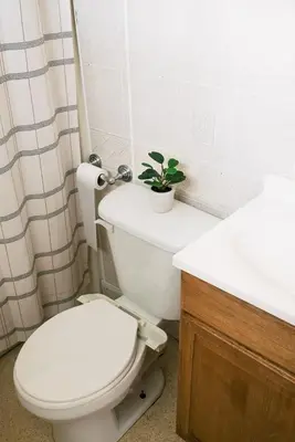 a bathroom with a toilet and a sink and a plant at Beaver Creek Cabin 2 in Strasburg