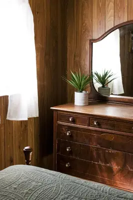 a bedroom with a dresser with a mirror and two plants at Beaver Creek Cabin 2 in Strasburg