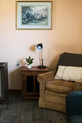 a living room with a couch and a table with a lamp at Beaver Creek Cabin 2 in Strasburg