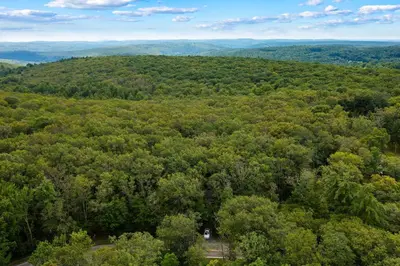 an aerial view of a forest of trees at Perfect Couples Cabin Fireplace Firepit & Wine Nearby in Hawley