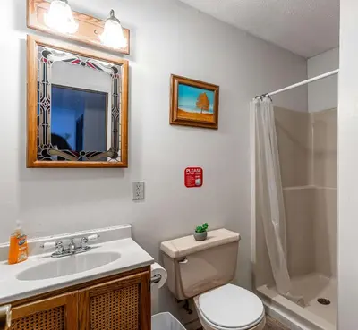 a bathroom with a toilet and a sink and a shower at Boardwalk Chalet Lakefront Fire Pit Pet Frie in Tobyhanna