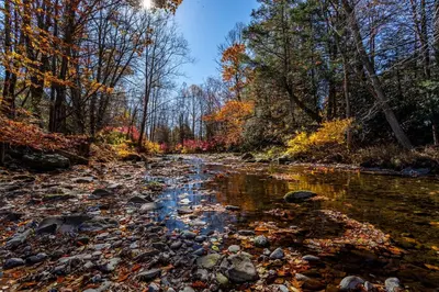 a stream in the middle of a forest with fall foliage at Heated Indoor Private Pool Stream Front Game Room in Cresco