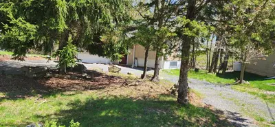 a road leading to a house with trees in the foreground at Cozy Pocono Escape in Tobyhanna