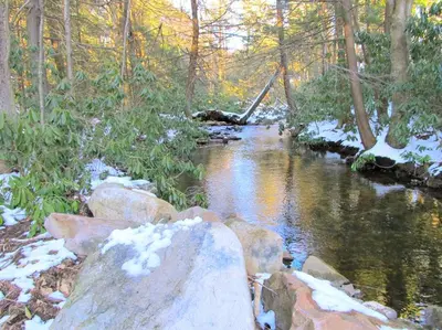 a stream in a forest with snow on the ground at Stunning Weekend Getaway near Hickory Run State Park in Pennsylvania in Jim Thorpe