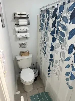 a bathroom with a toilet and a shower curtain at Newly renovated home, firepit, game room, grill in Tobyhanna